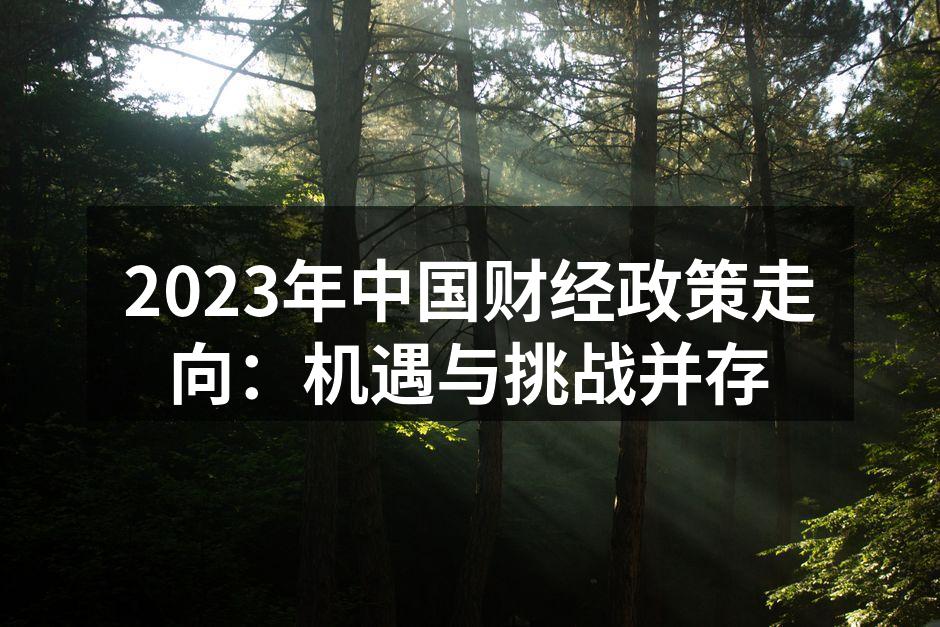2023年中国财经政策走向：机遇与挑战并存